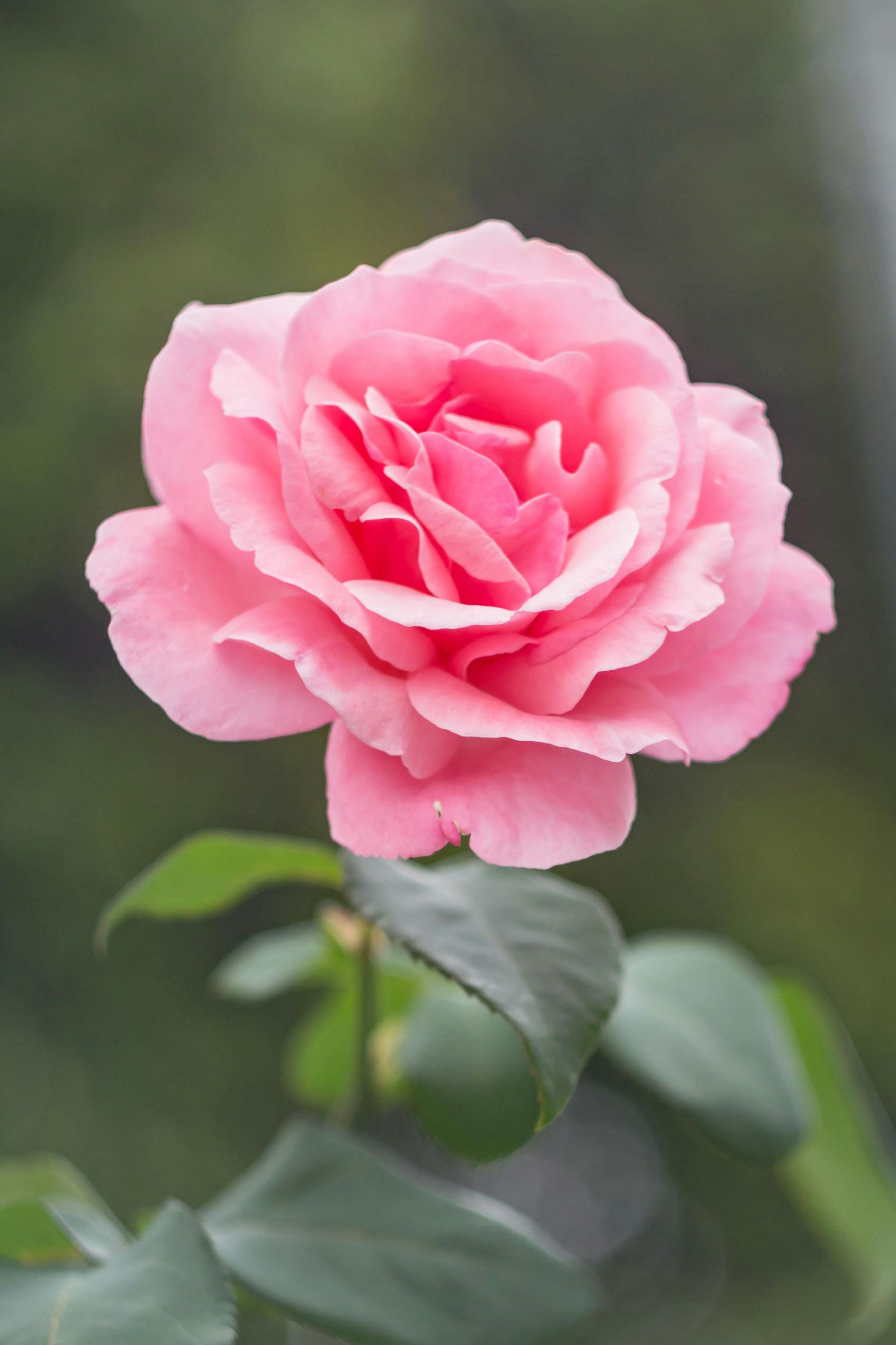banner-img